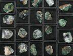 Mineral Flat: Fluorescent Rogerley Fluorite - Pieces #96996-1